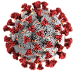 Illustration eines Coronavirus-Partikels